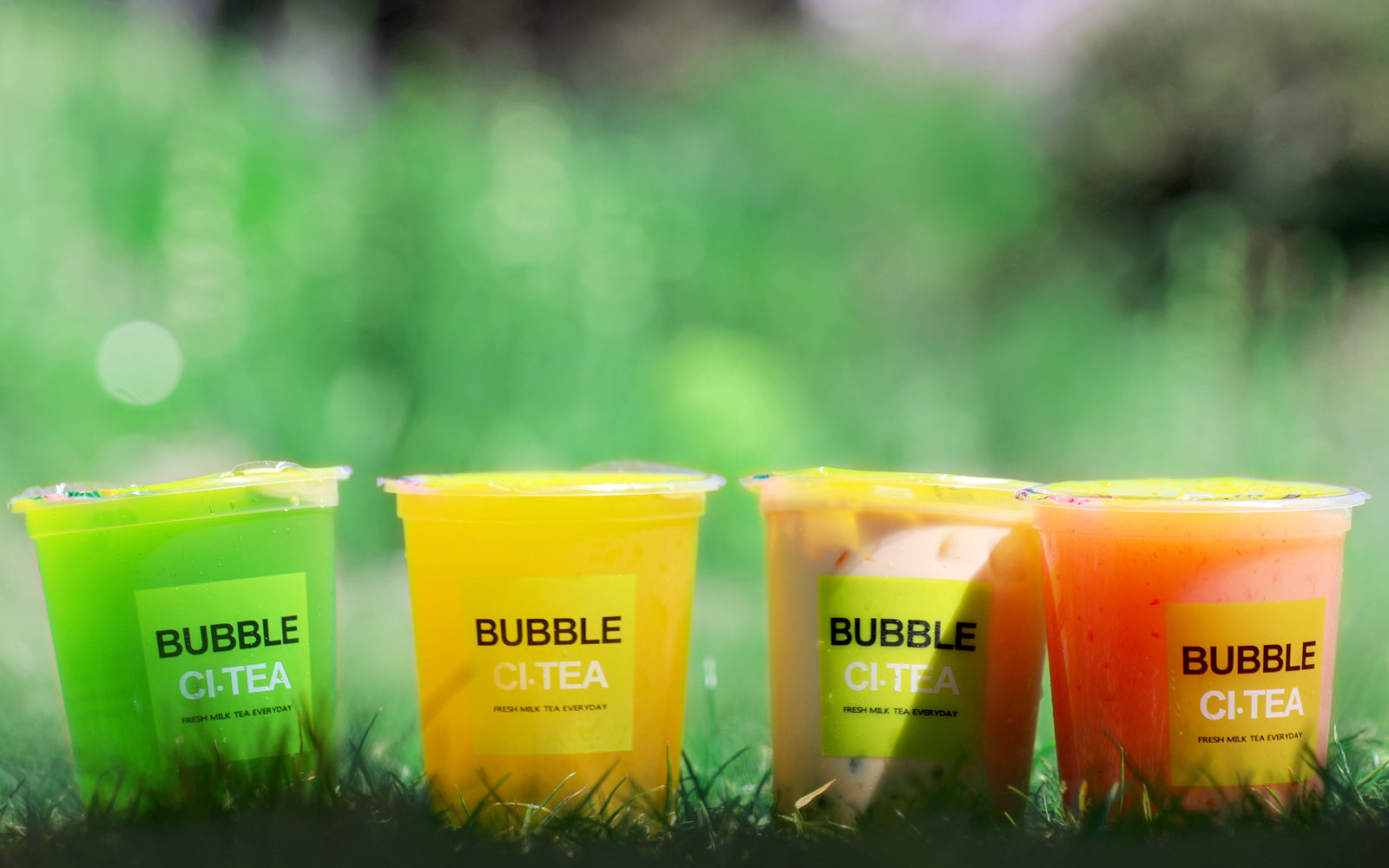 Bubble Ci·Tea Reusable Cup - Bubble CiTea
